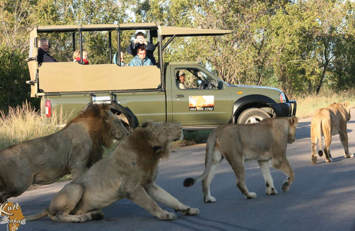 kruger national park