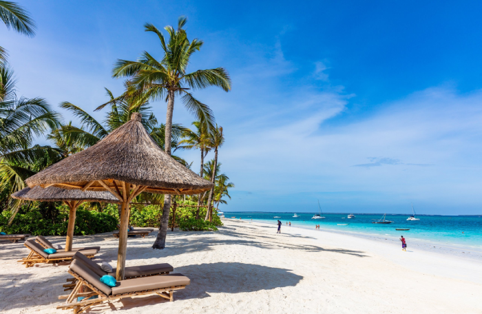 CULTURE IMMERSSION IN ZANZIBAR