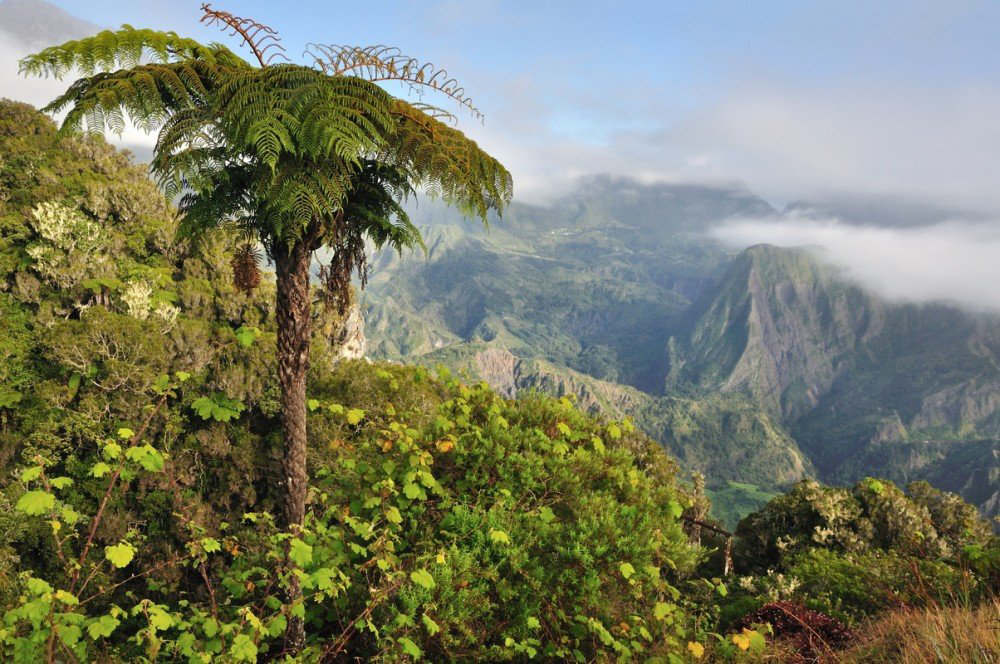 8 days of unique travel experience in Madagascar